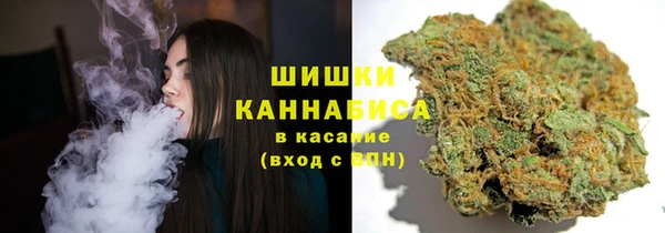 твердый Майский