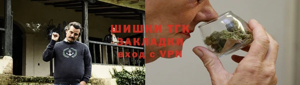 шишки Магас