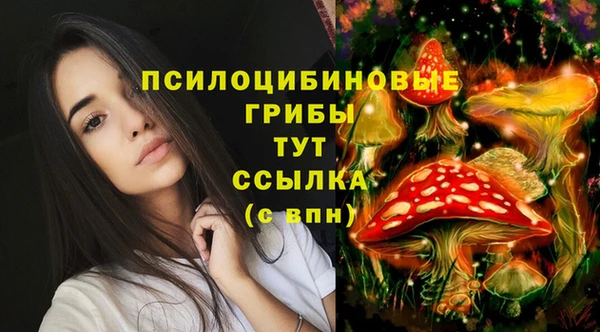 ПСИЛОЦИБИНОВЫЕ ГРИБЫ Алзамай