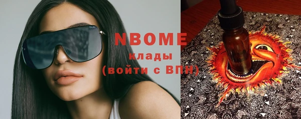 ПСИЛОЦИБИНОВЫЕ ГРИБЫ Алзамай