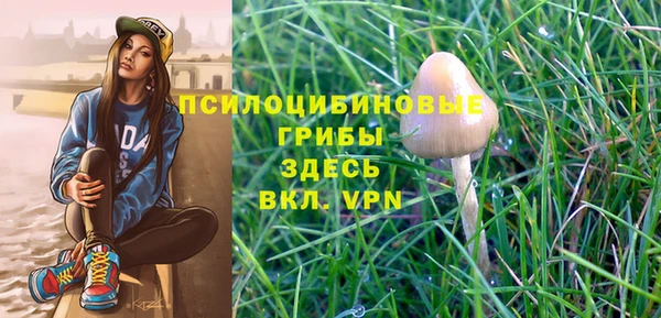 ПСИЛОЦИБИНОВЫЕ ГРИБЫ Алзамай